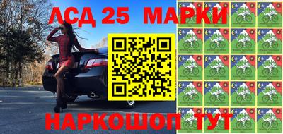 индика Новодвинск