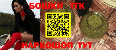 индика Новодвинск