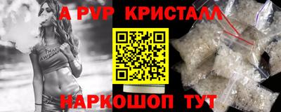 индика Новодвинск