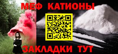 индика Новодвинск
