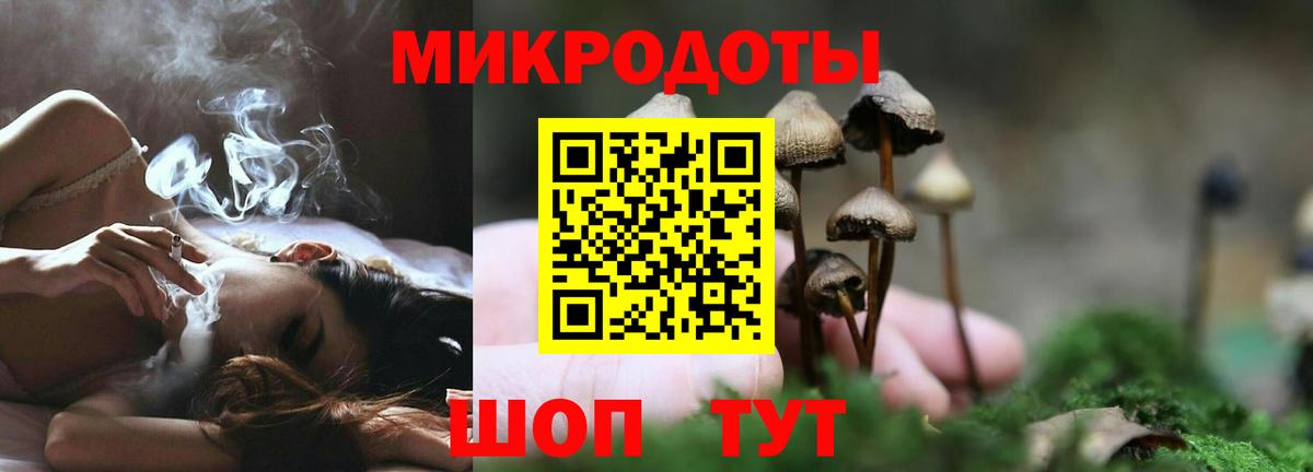 Галлюциногенные грибы прущие грибы  Псилоцибиновые грибы мицелий  Вход с VPN  Омск 